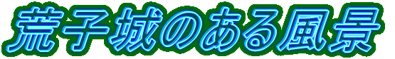 �r�q��̂��镗�i