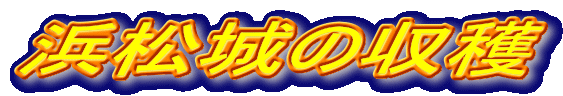 �l����̎��n