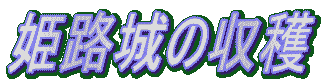 �P�H��̎��n