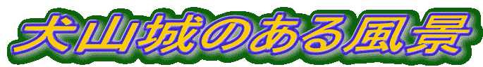 ���R��̂��镗�i