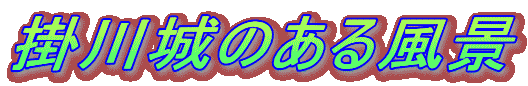 �|���̂��镗�i