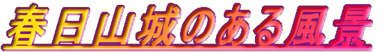 �t���R��̂��镗�i