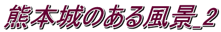 �F�{��̂��镗�i_2