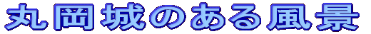 �ۉ���̂��镗�i