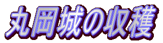 �ۉ���̎��n