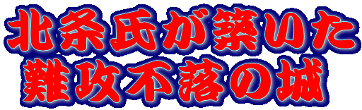 �k�������z����
 ��U�s���̏�
