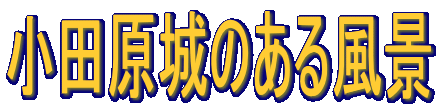 ���c����̂��镗�i