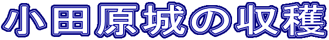 ���c����̎��n