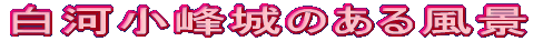 ���͏����̂��镗�i