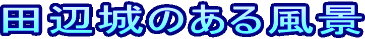 �c�ӏ�̂��镗�i