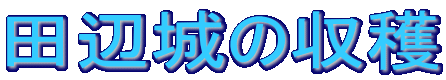 �c�ӏ�̎��n