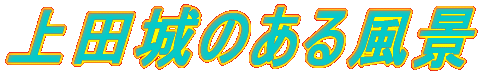 ��c��̂��镗�i