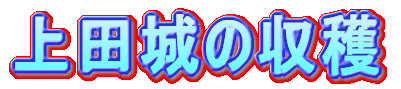 ��c��̎��n