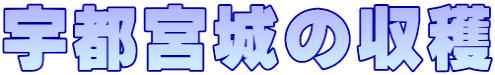 宇都宮城の収穫