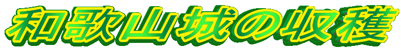 �a�̎R��̎��n